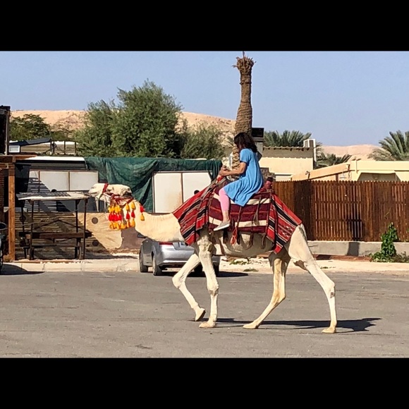 Meet your Posher, P - Picture 3 of 3